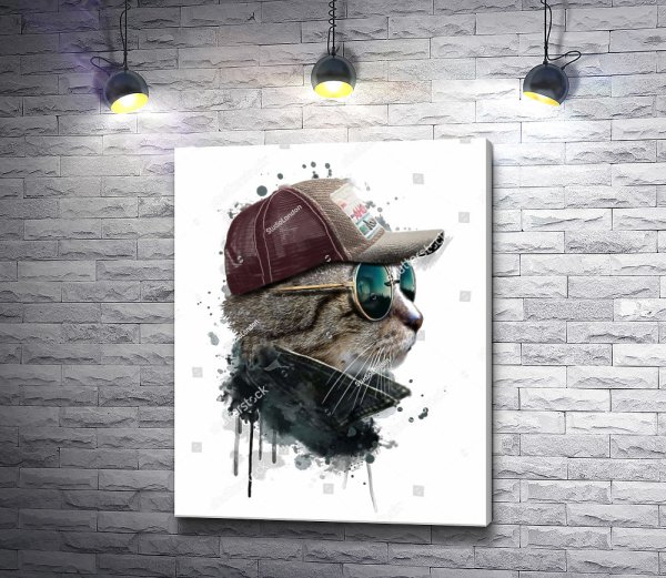 Британский кот в очках