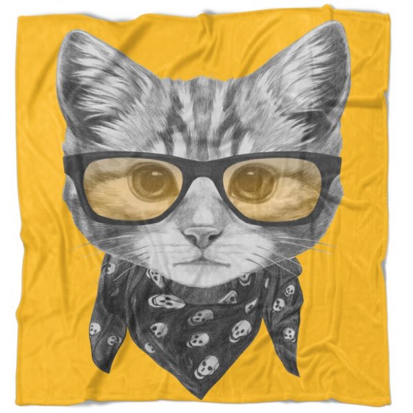 Кот в очках