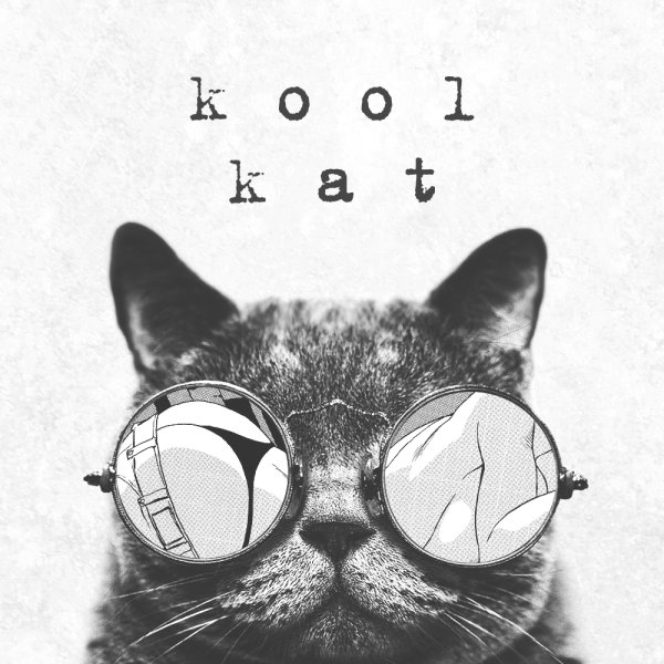 Кот в круглых очках космос