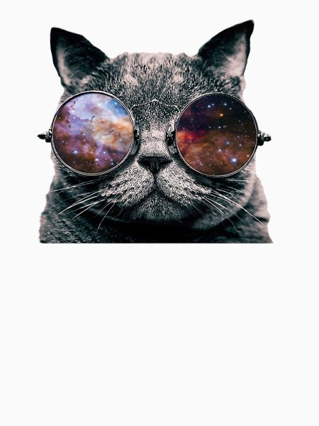 Кот в очках картина
