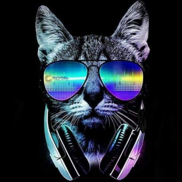 Кот в очках арт