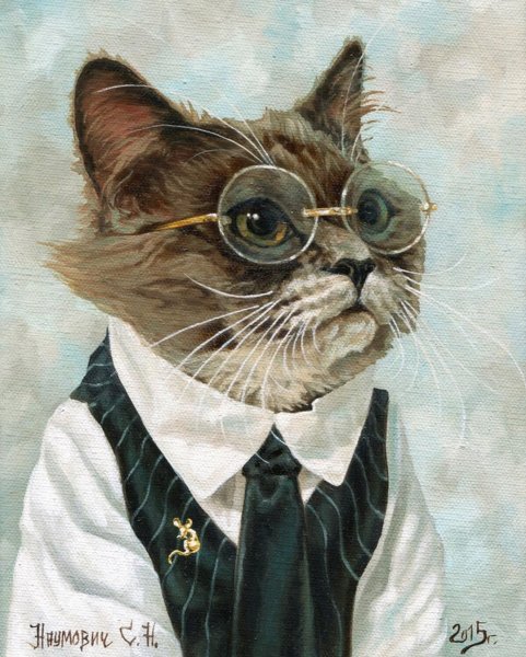 Кот в очках