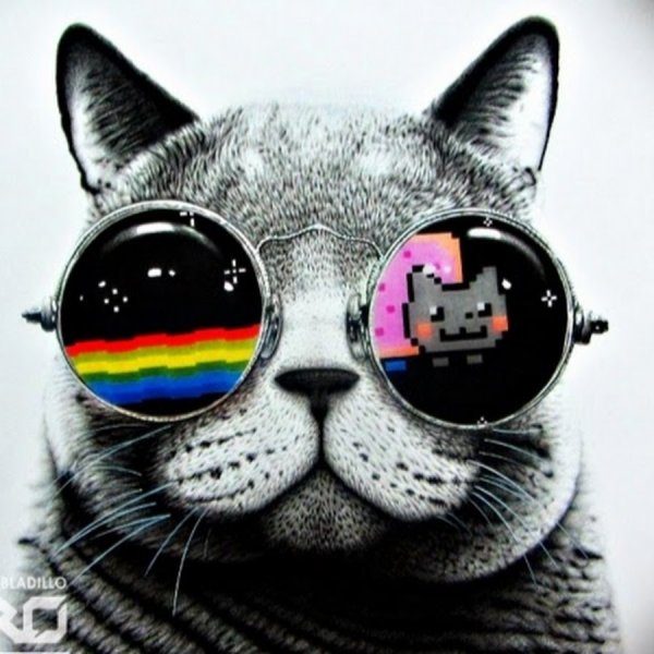 Смешной кот акварель