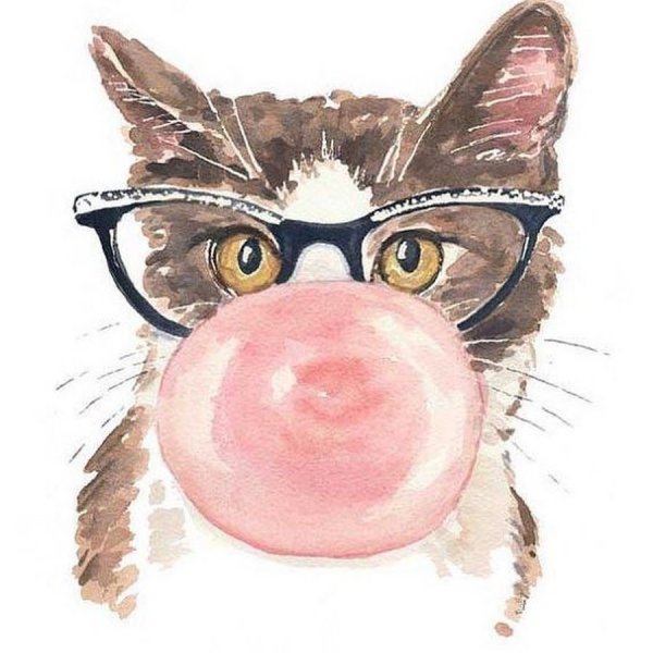 Серый кот в очках