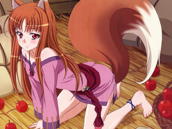 Волчица и пряности Manga