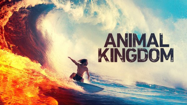 Animal Kingdom сериал Постер