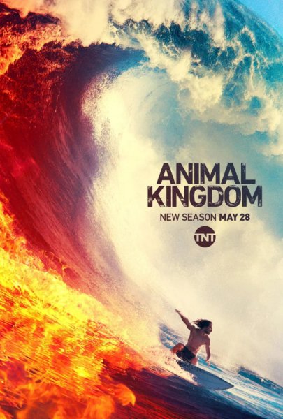 Animal Kingdom сериал Постер