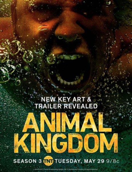 Animal Kingdom сериал Постер