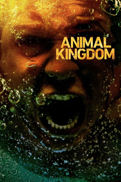 Animal Kingdom сериал Постер