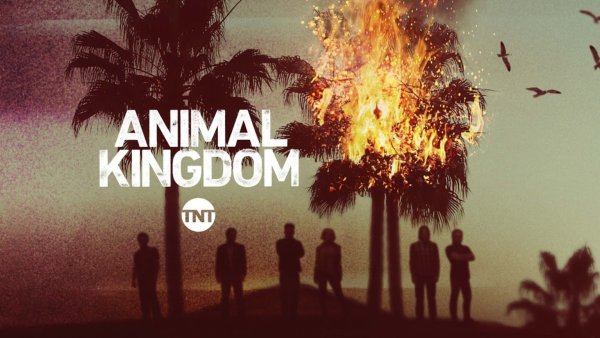 Animal Kingdom сериал Постер