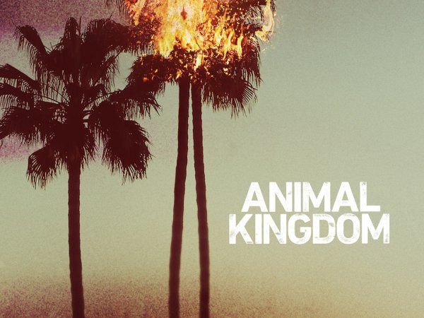 Волчьи законы