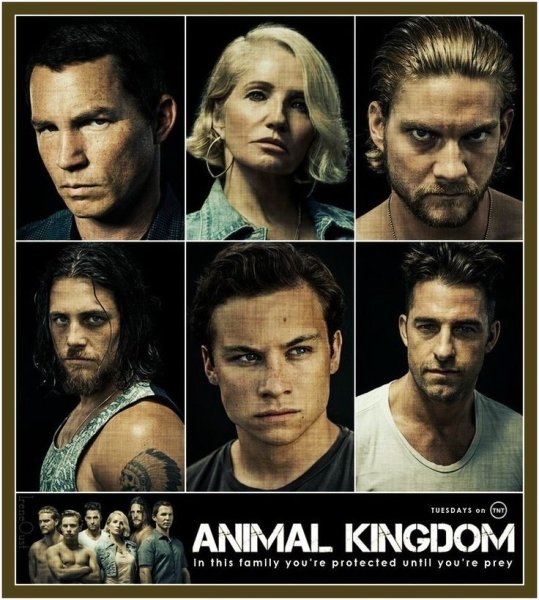 Animal Kingdom TV Series