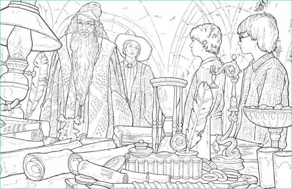 Раскраска Гарри Поттер и Тайная комната