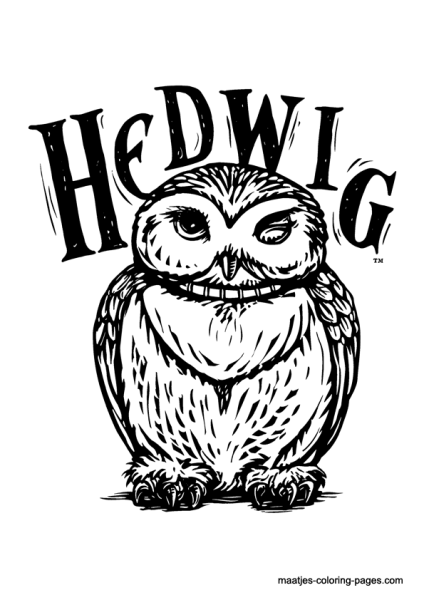Сова из Гарри Поттера раскраска