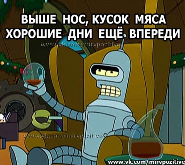 Плакат выше нос кусок мяса