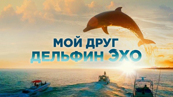 Дельфины сериал