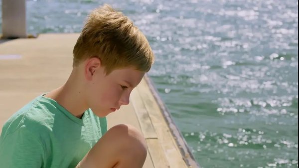 Эхо дельфина