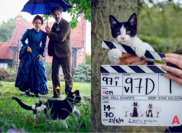 Кошачьи миры Луиса Уэйна 2021