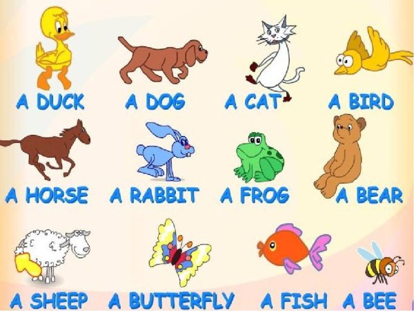 Животные на ферме на английском языке