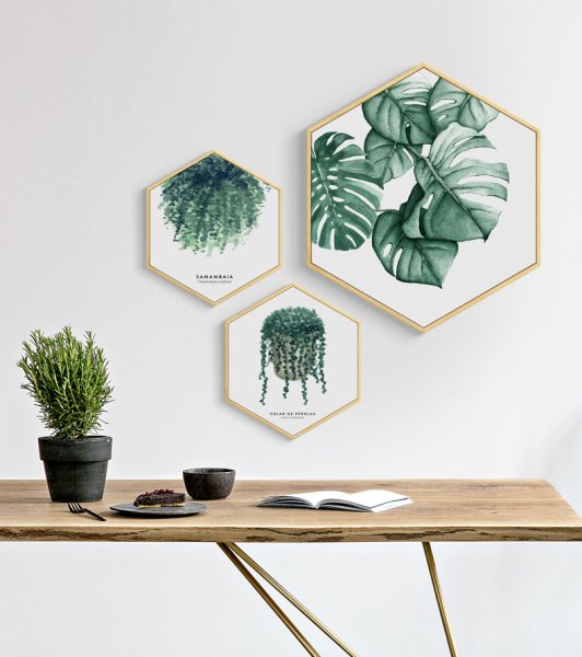 Ботанические принты в интерьере