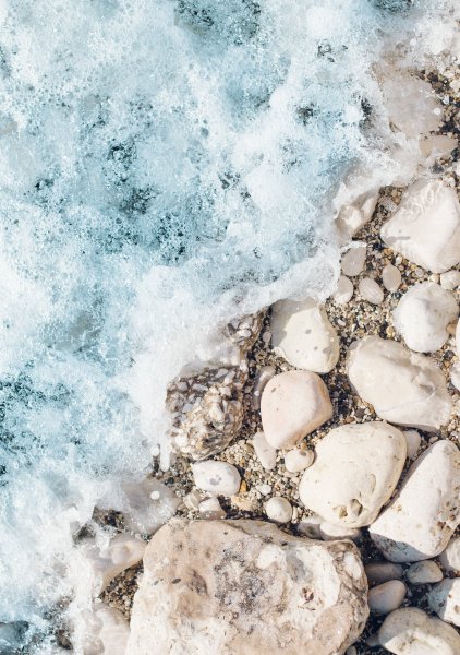 Бамбук и камни