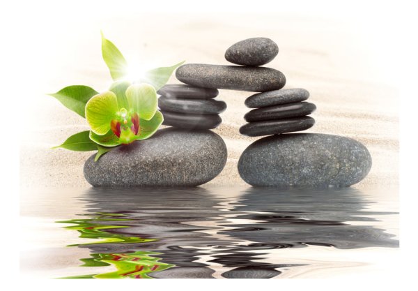 Спа камушки