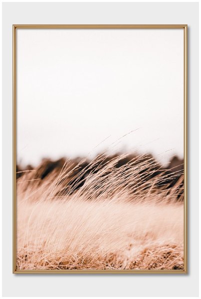 Сухая трава