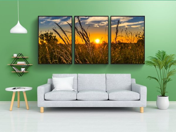 Поле одуванчиков