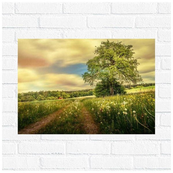 Фотообои поле пшеницы