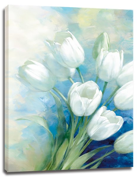 Белые тюльпаны акварель
