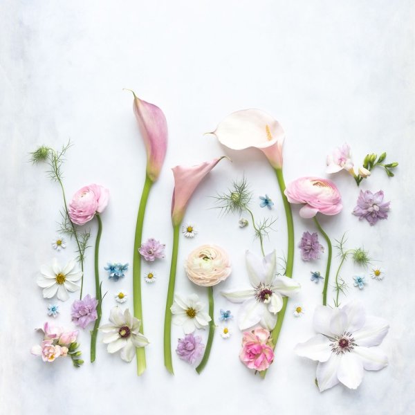 Весенние цветы Постер