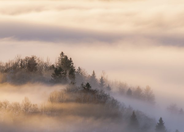 Пейзаж в тумане Постер
