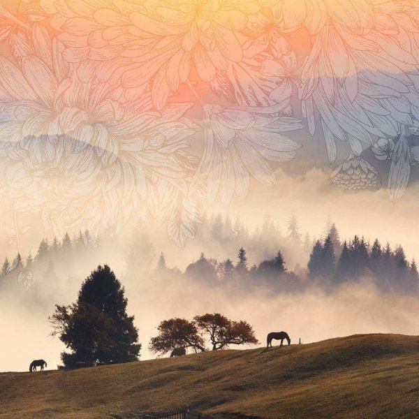 Обои флизелиновые туман