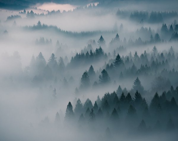 Горы в тумане