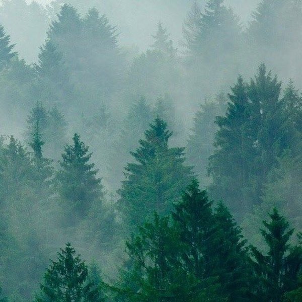 Туман надпись