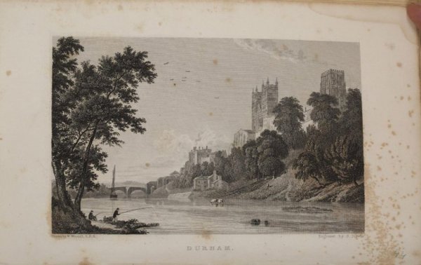 Постеры картины Гравюры