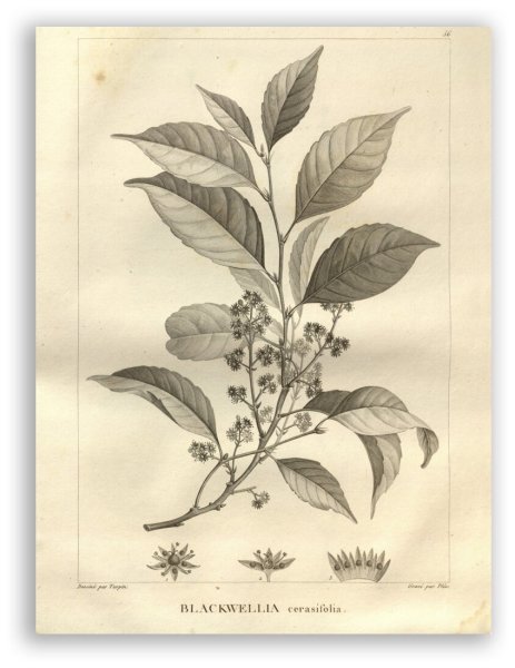 Нельская башня королевство Франция