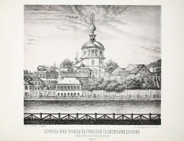 Botanical illustration from Chelsea Physic Garden