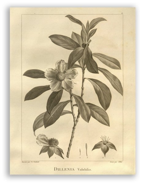 Прически 18 века гравюра