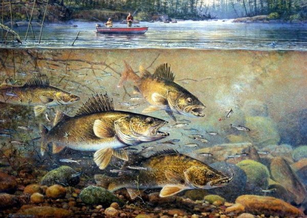 Zoellick, Scott/Скотт Зеллик