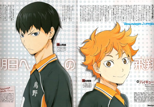 Haikyuu Хината плакат