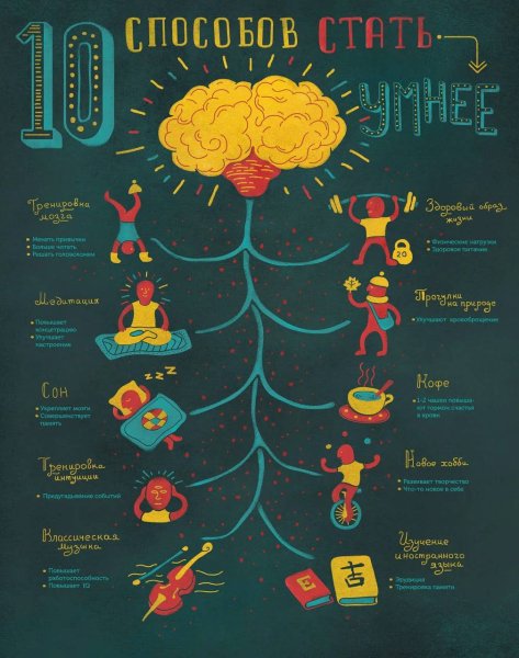 Плакат инфографика