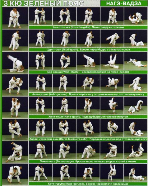 Броски зеленого пояса дзюдо 2021