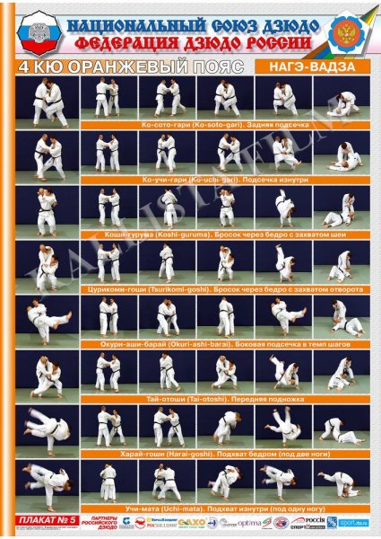 Нагэ вадза дзюдо 4 кю