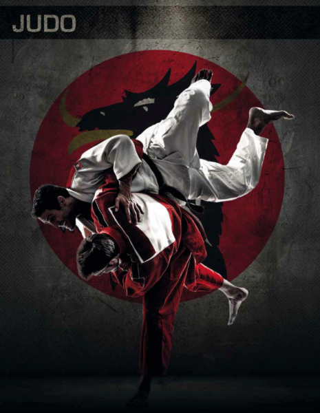 Каратэ арт красивый