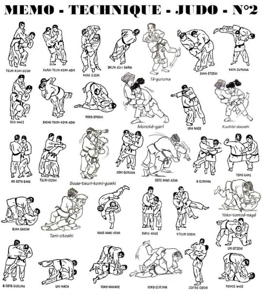 Дзюдо приемы плакаты
