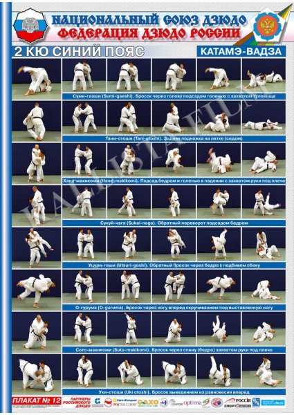 Техника 2 кю дзюдо