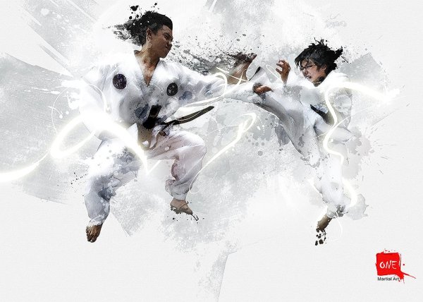 Восточные единоборства фон