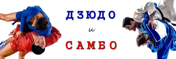 Картинки самбо и дзюдо