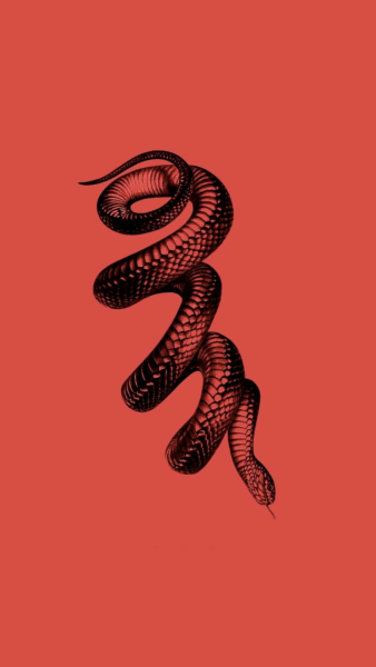 Постер змей